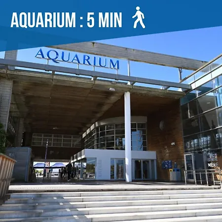 Sur Le Port - Duplex Cosy&moderne Face Au Port - Wifi Gratuite - Parfaitement équipé *